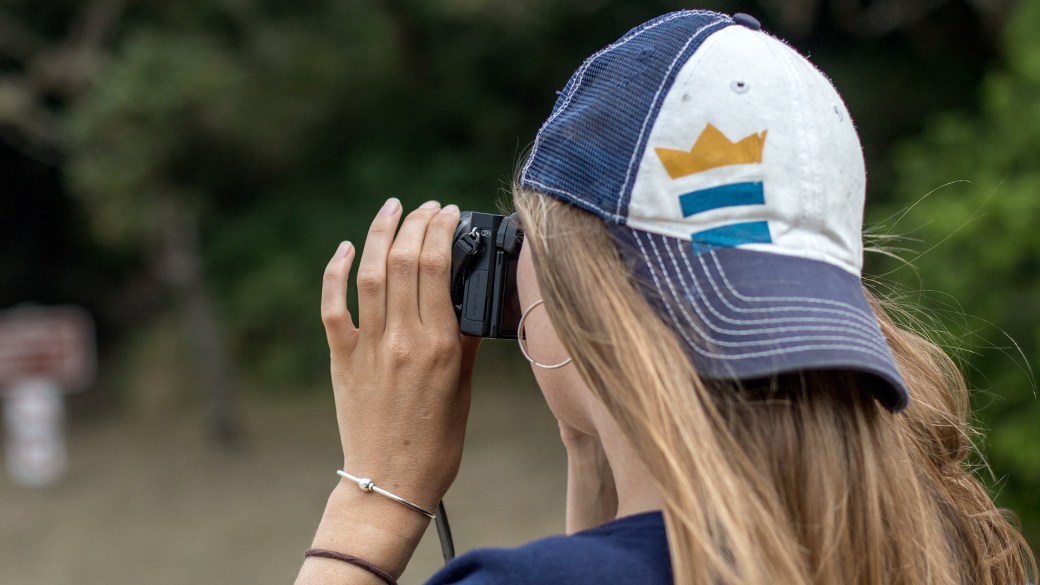 Digital camera vs. phone camera