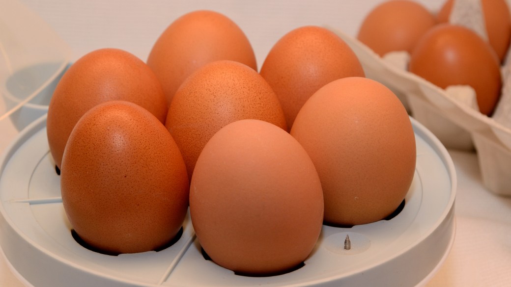 Best Dash egg cooker