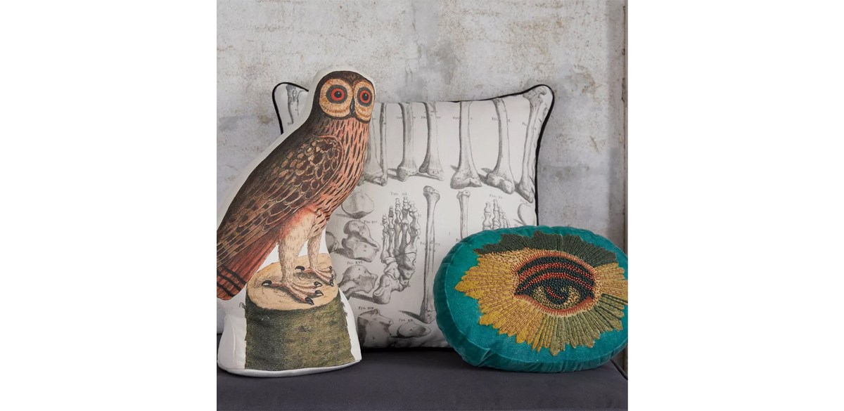 Barn Owl Novelty Plush Pillow - John Derian For Target