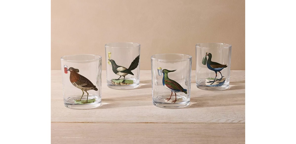 4pc 9oz Bird Highball Cocktail Glass Set - John Derian for Target