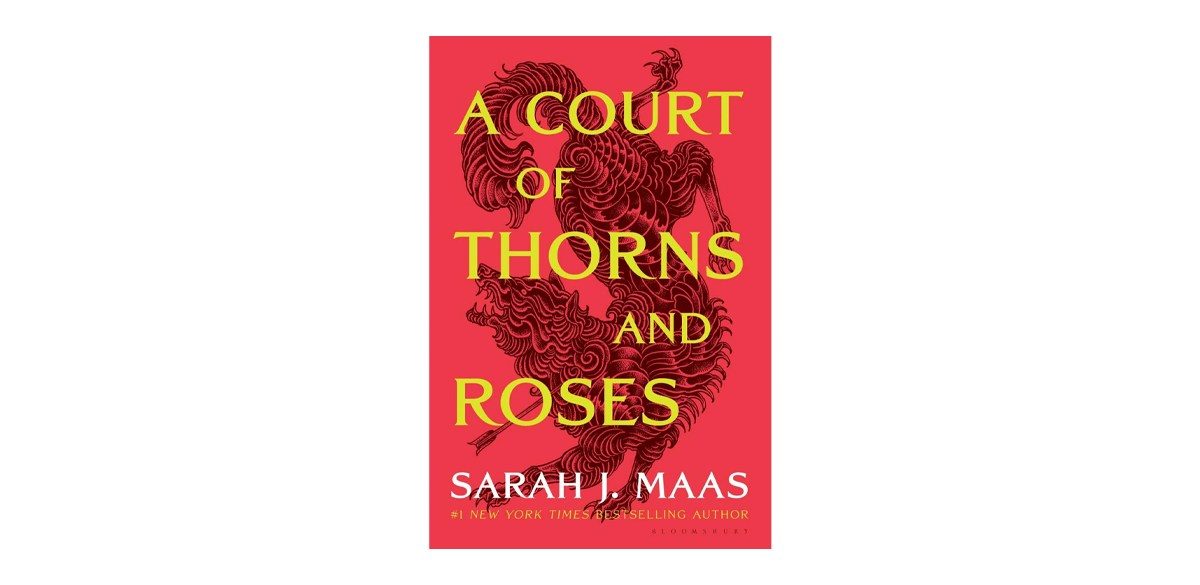     A courtyard of thorns and roses