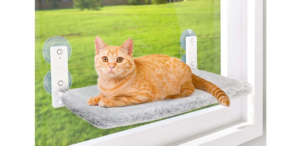 Window Extension Cat Be a good human and buy your cat a window perch | WKRG.com