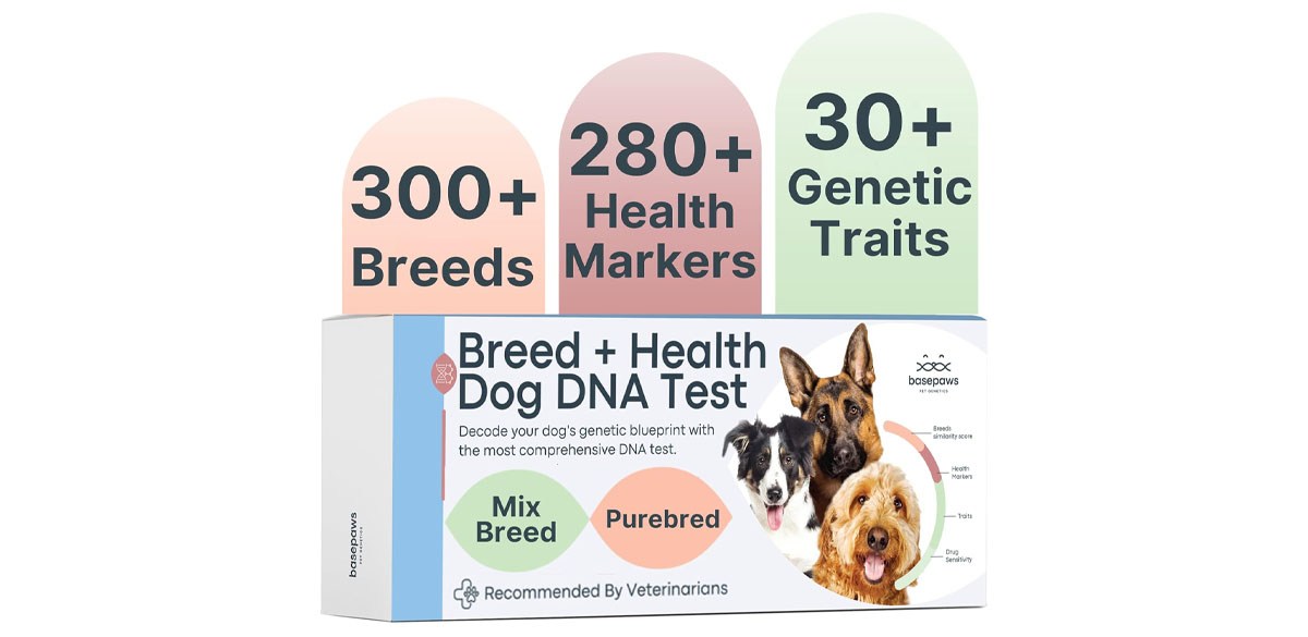Basepaws Dog DNA Testing Kit