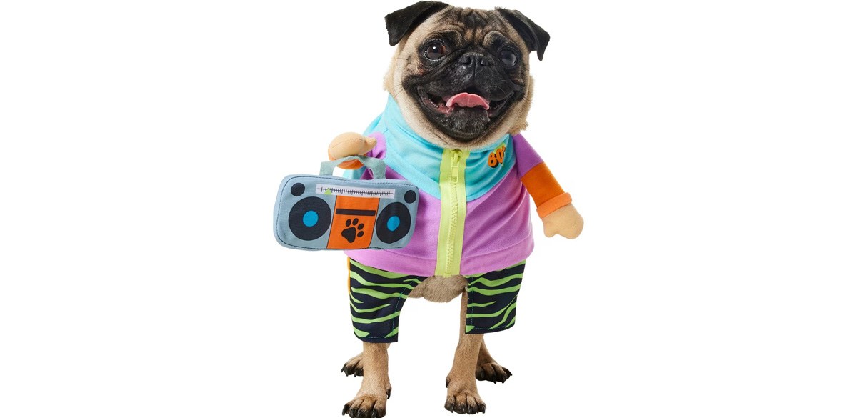 Frisco Front Walking 80s Retro Kid Dog & Cat Costume