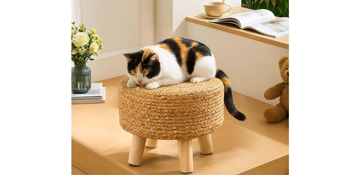 Handwoven Round Ottoman