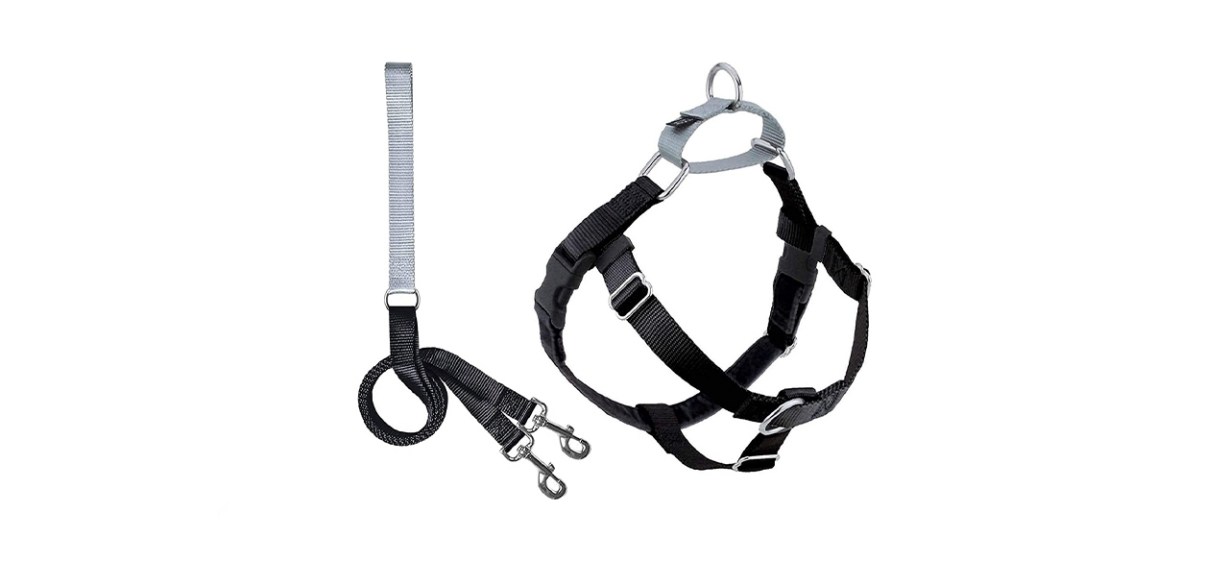2 Hounds Design Freedom No Pull Dog Harness and Leash