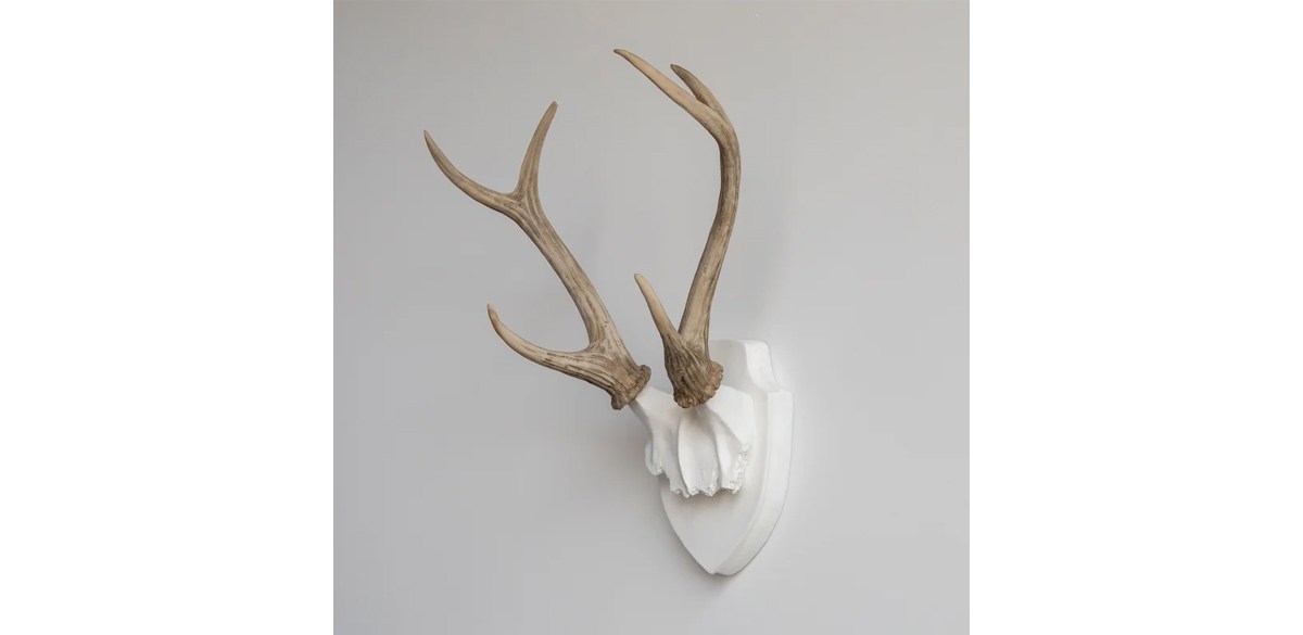 Orren Ellis Handmade Coastal Animals Wall Decor on Resin