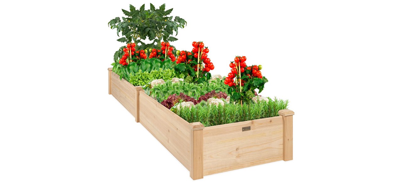 3-Best Choice Products 8x2ft Outdoor Wooden Raised Garden Bed Planter