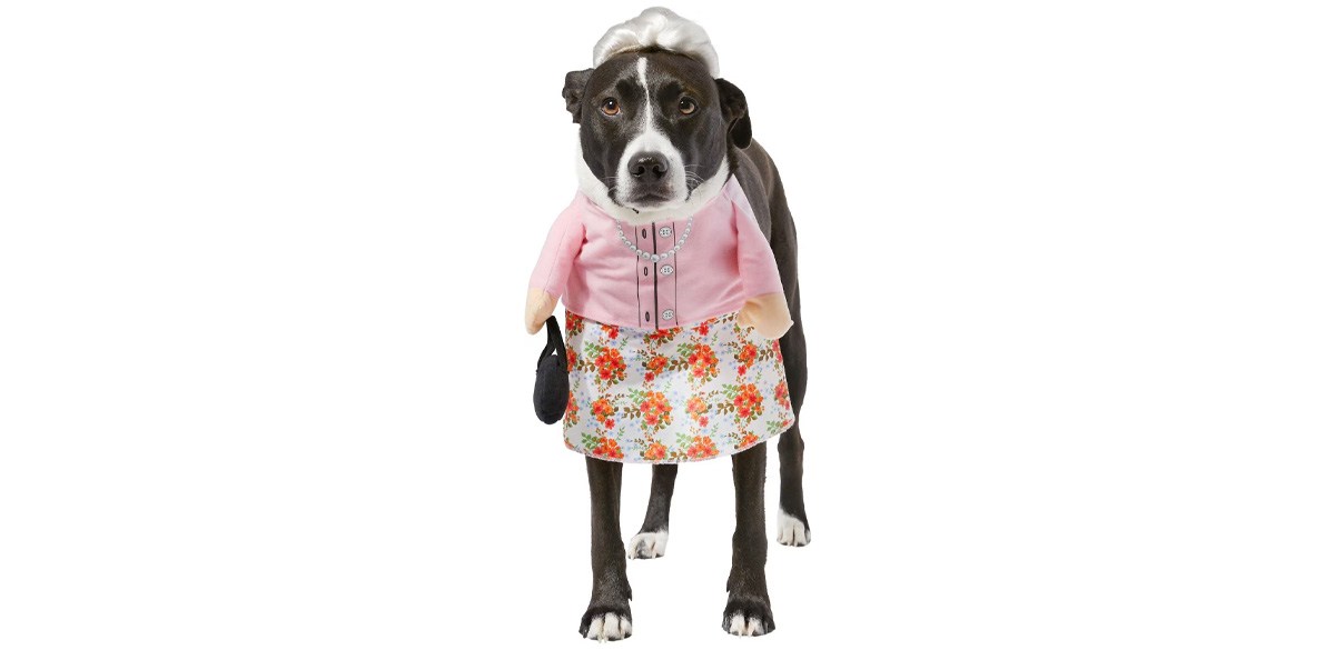 Frisco Front Walking Granny Dog & Cat Costume