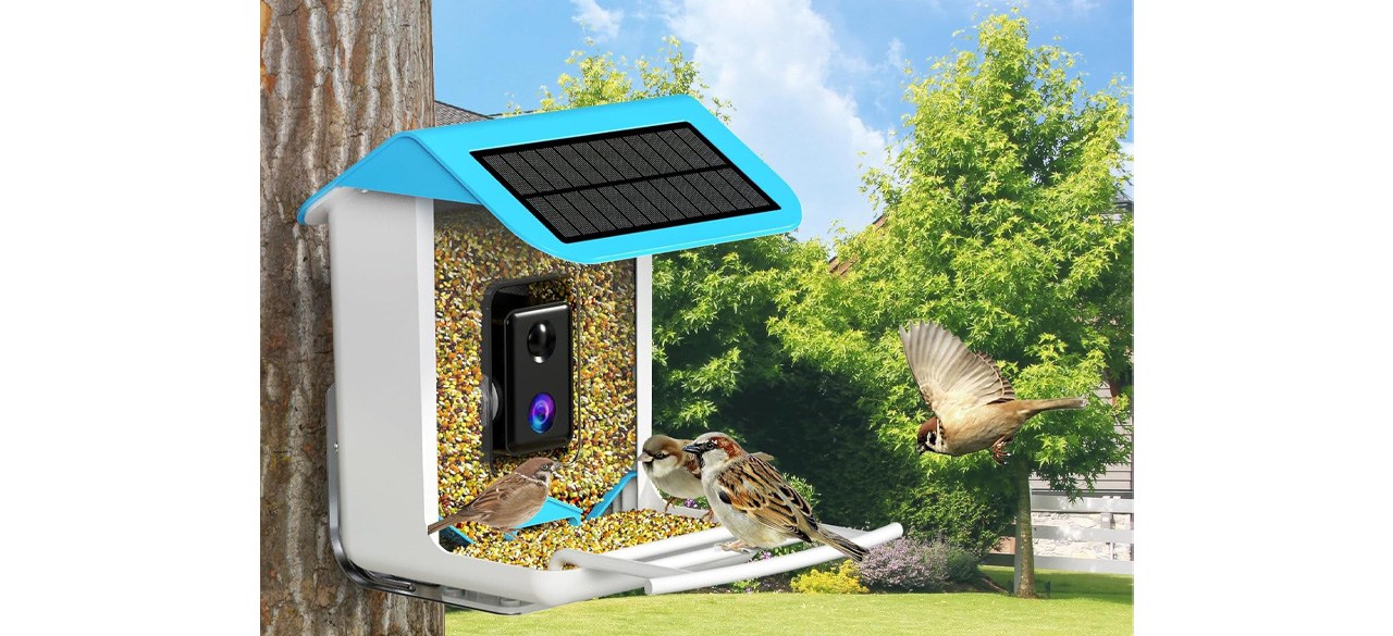 IsYoung Smart Bird Feeder with Camera