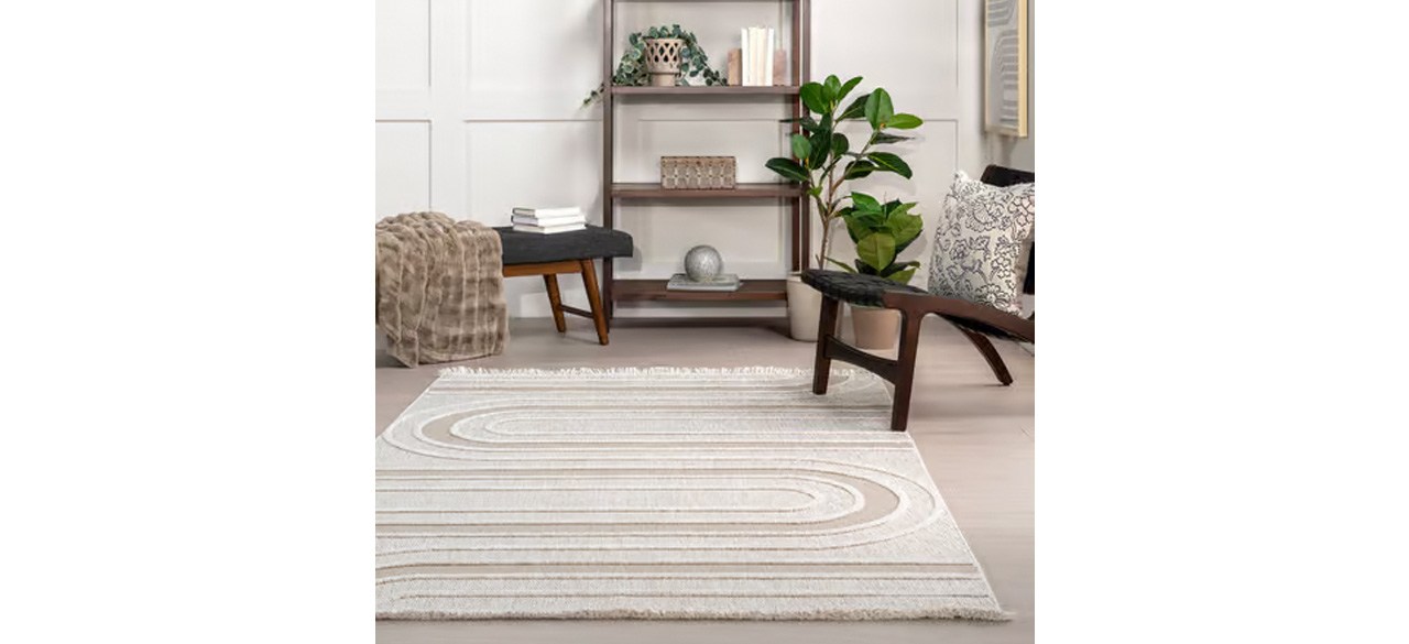 Moonway Mackenzie Abstract Ivory Area Rug in front of bookcase