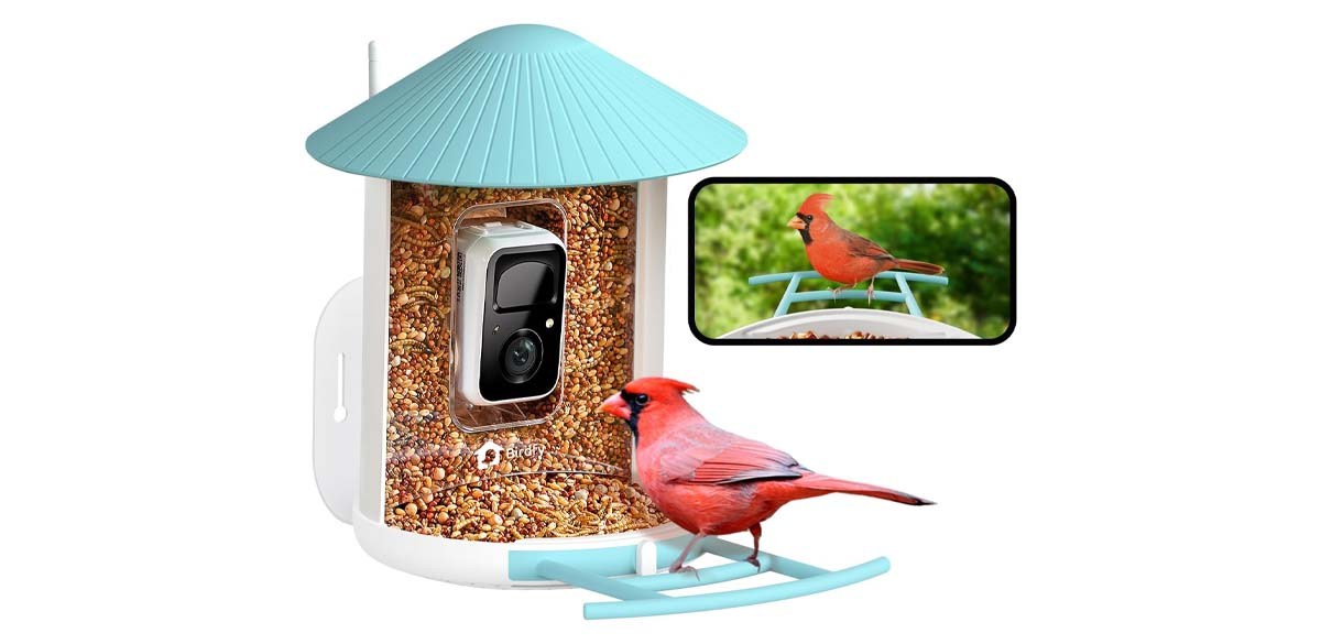 NETVUE by Birdfy Smart Bird Feeder with Camera