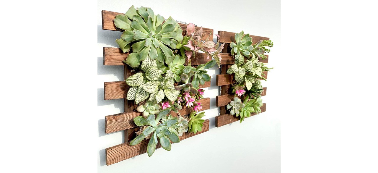 ShopLaLa Wall Planter