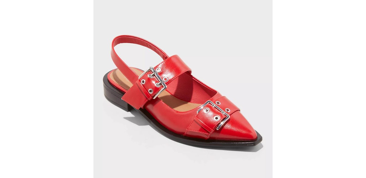 Wild Fable Women's Peyton Double Buckle Slingback Flats