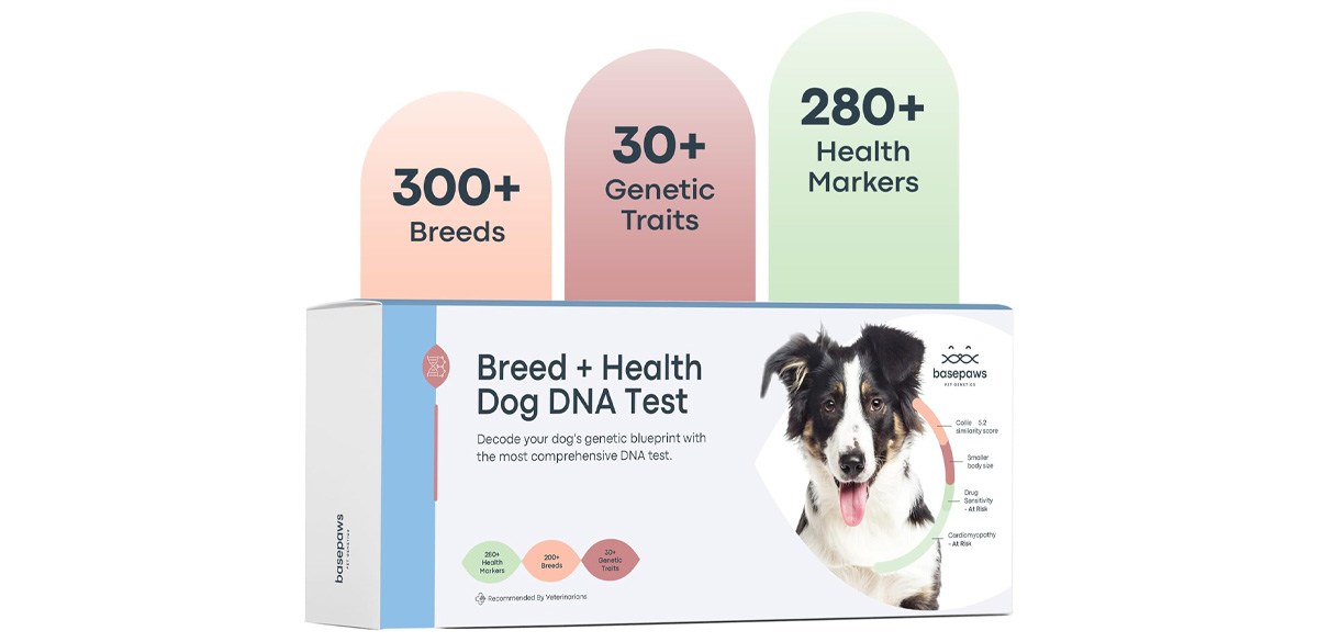 Basepaws Dog DNA Testing Kit