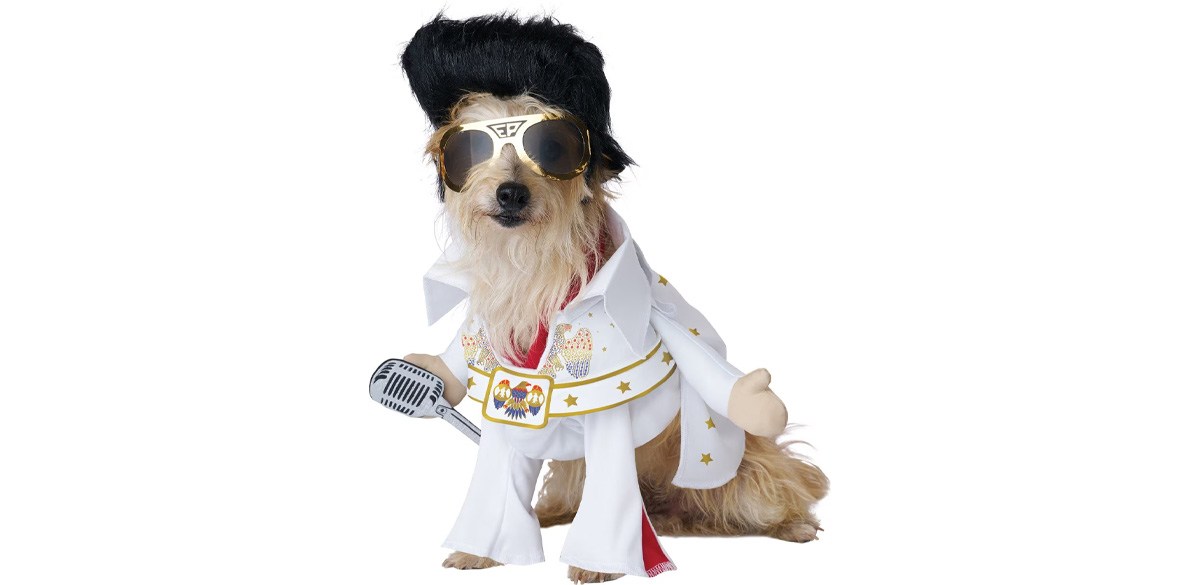 California Costumes Elvis American Eagle Dog Costume