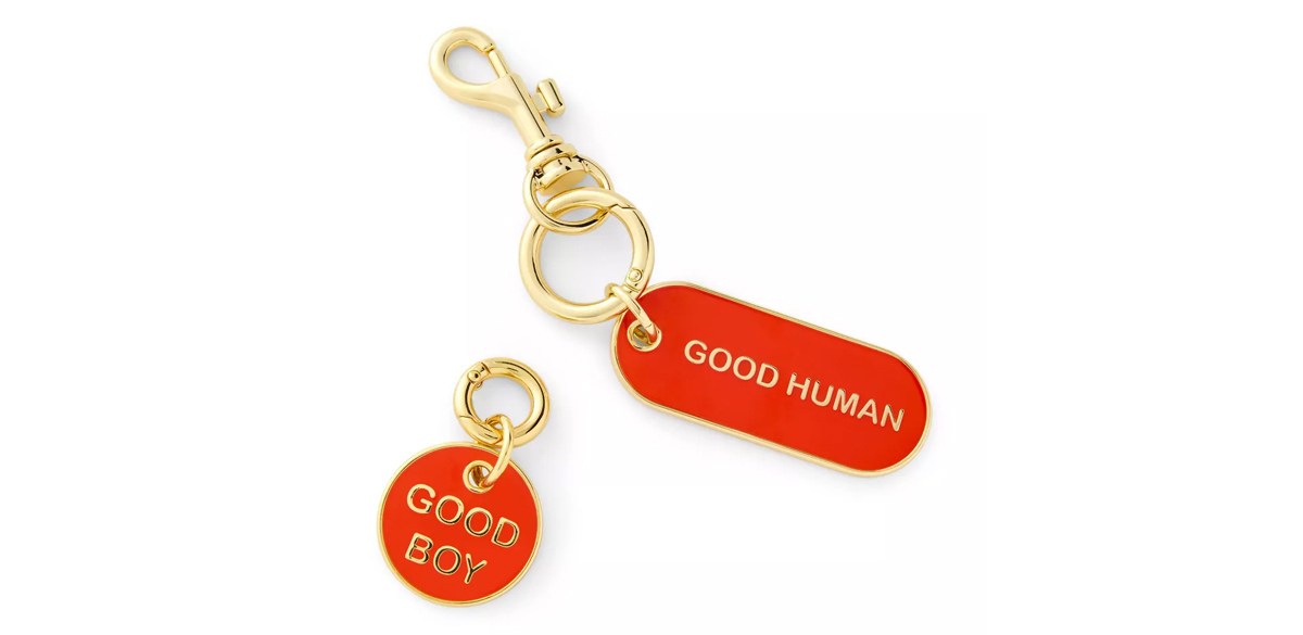 Good Human and Good Boy Keychain & Collar Tag Set - Red-Gold - The Cuddle Collab