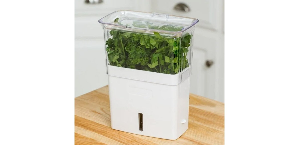 HHY Cole & Mason Fresh Herb Keeper