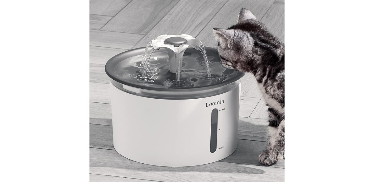 Loomla Cat Water Fountain