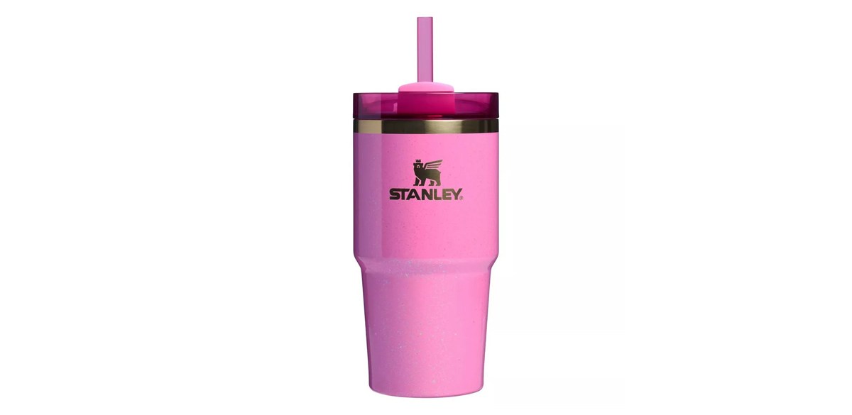 Glinda Stanley 20 oz Stainless Steel H2.0 FlowState Quencher Tumbler