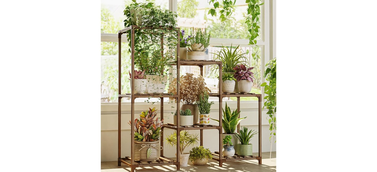 Bamworld Indoor Plant Shelf