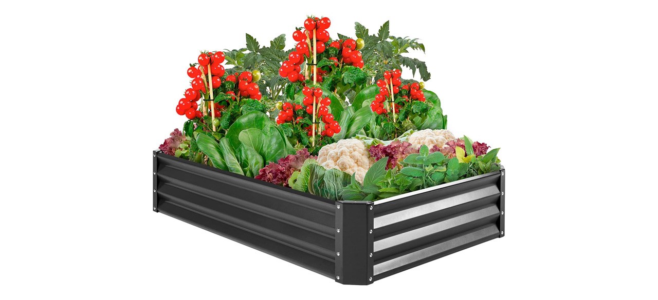 Best Choice Products 6x3x1ft Outdoor Metal Raised Garden Bed