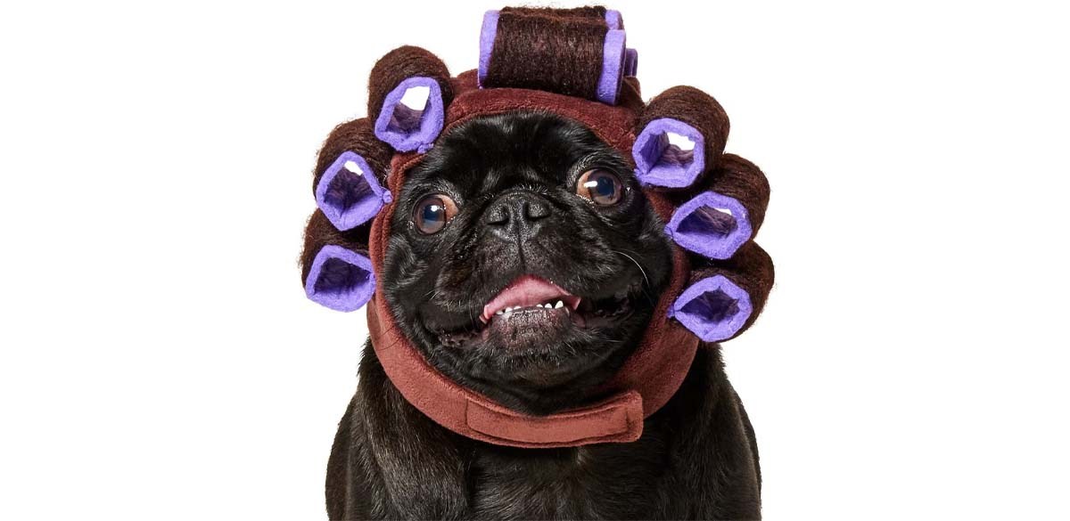 Frisco Beauty Parlor Spa Hair Curler Dog & Cat Costume Accessory