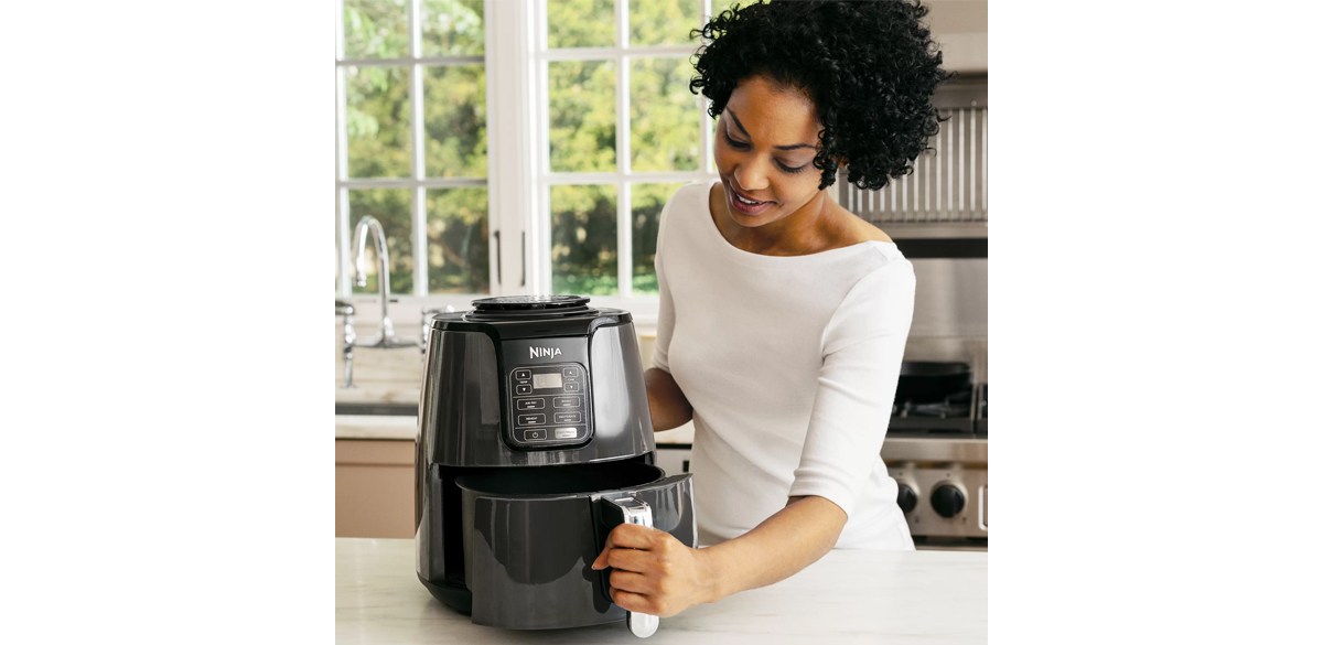 Ninja 4 Qt Air Fryer