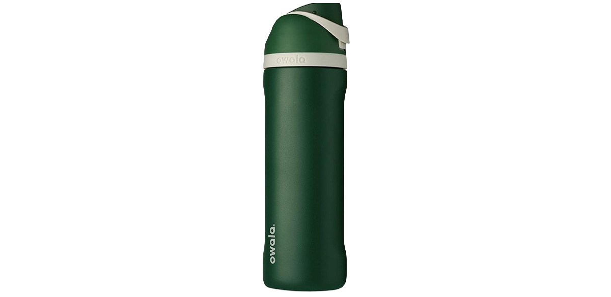Owala Harry Potter FreeSip Insulated Stainless Steel Water Bottle with Straw