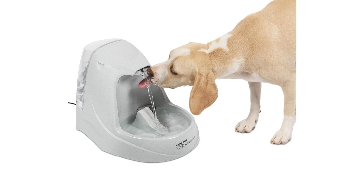 PetSafe Drinkwell Platinum Dog and Cat Water Fountain