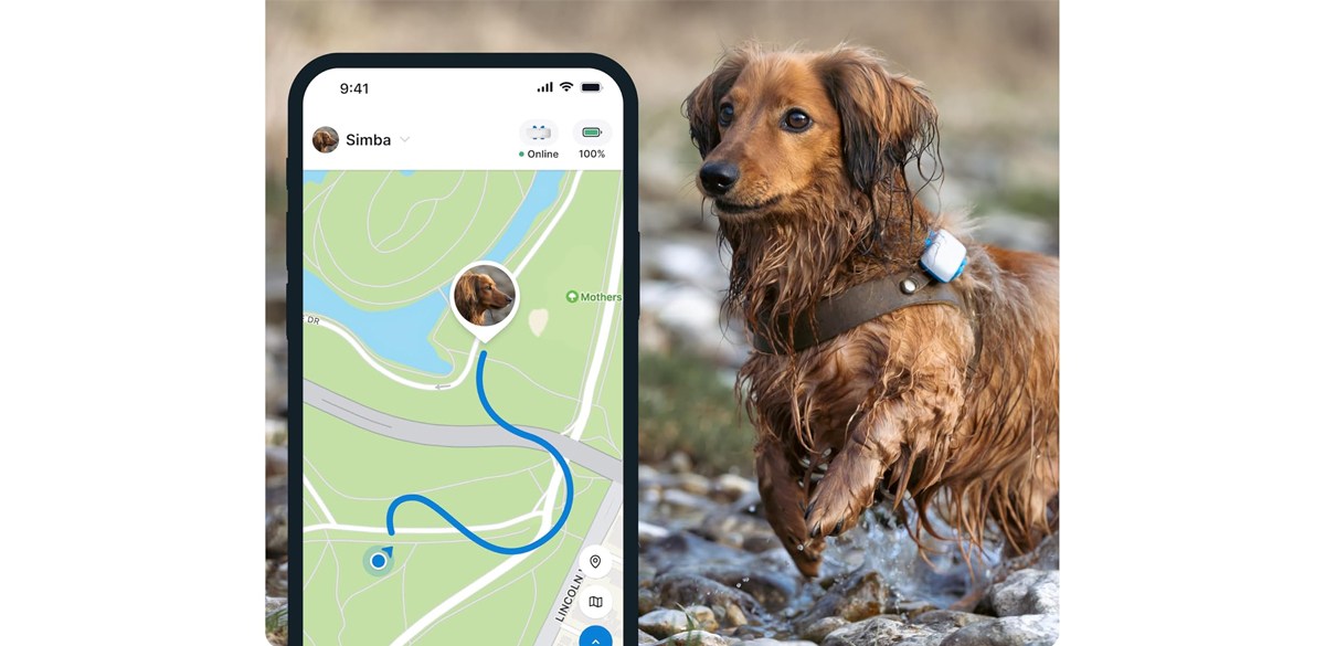 Tractive GPS Tracker & Health Monitoring for Dogs