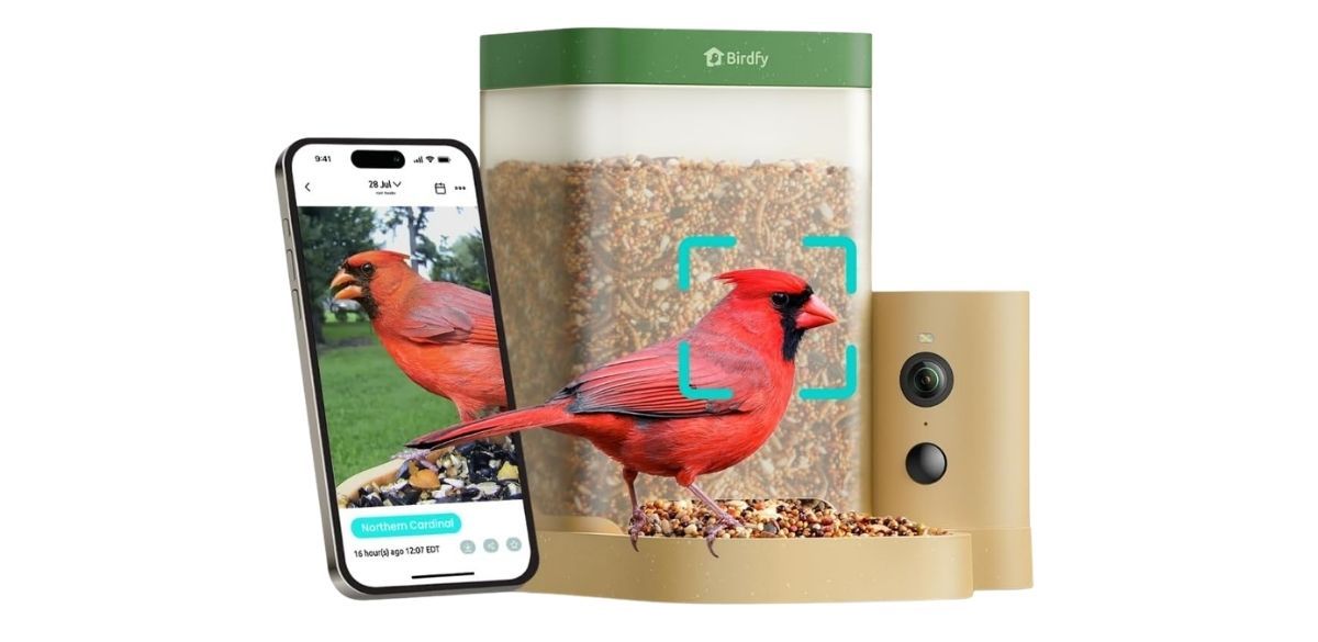 Birdfy Smart Bird Feeder with Camera
