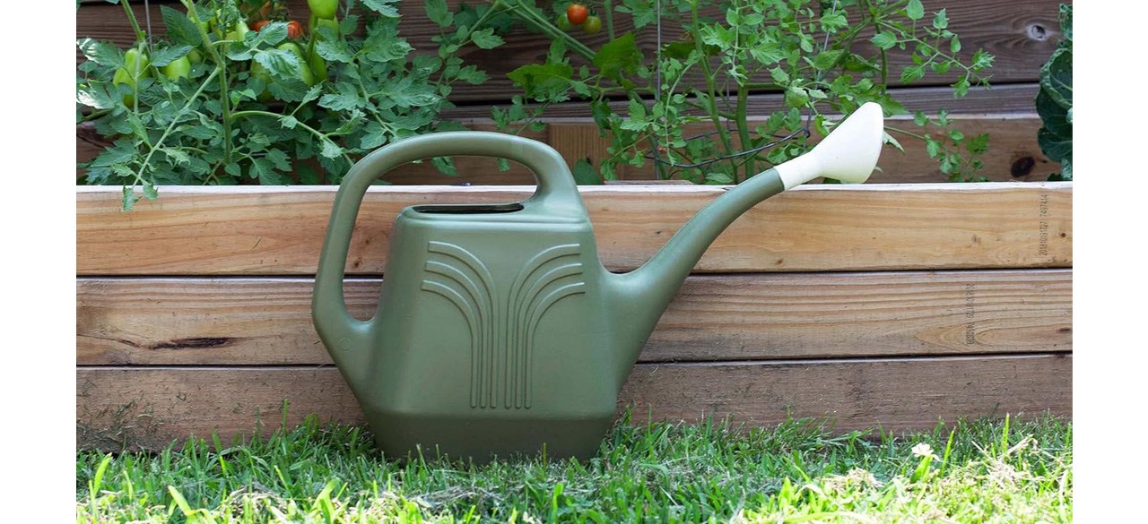 Bloem Promo Watering Can: 2 Gallon Capacity on lawn in front of garden