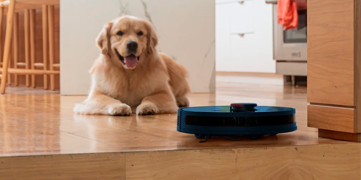 Bobsweep Dustin in front of dog navigating from hard flooring to carpeted area. 