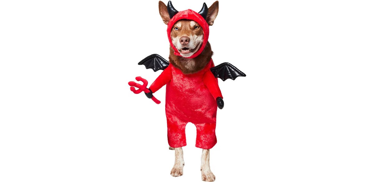 Frisco Front Walking Lil Devil with Adjustable Inseam Dog & Cat Costume