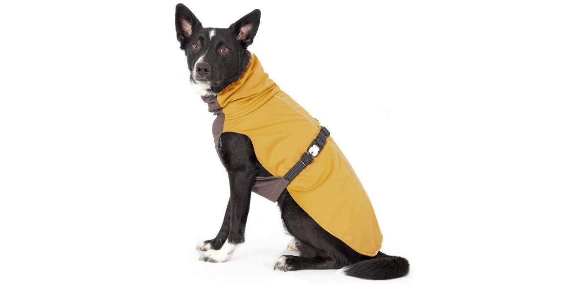 Goldpaw Winter Paw Dog Coat