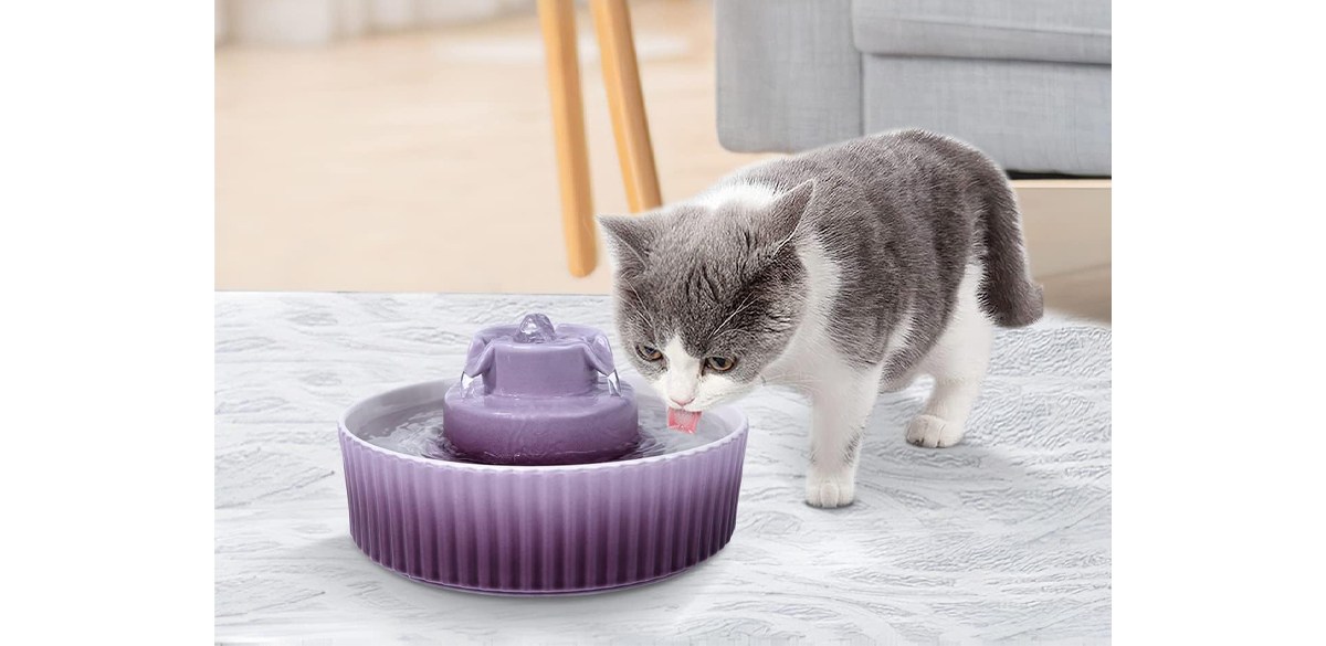 NautyPaws Ceramic Cat Water Fountain