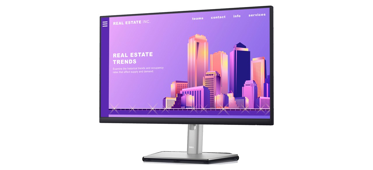 Dell 24 Monitor (P2422H) on white background