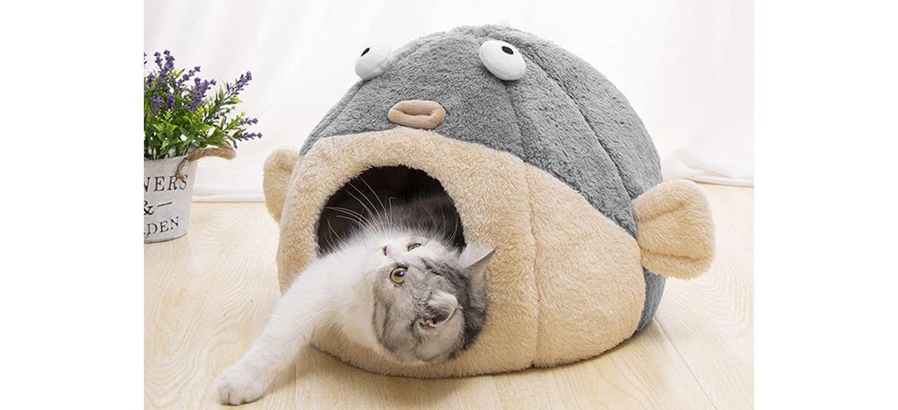 Lcybem Pufferfish Cat House