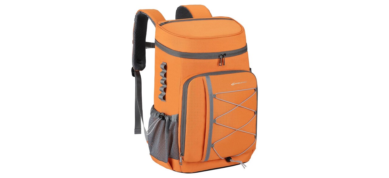 Maelstrom Cooler Backpack