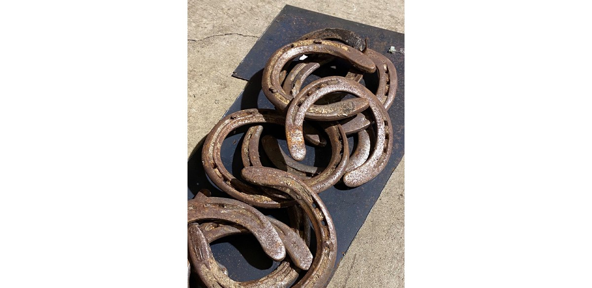 Steelworkx Authentic Rusty Horseshoe