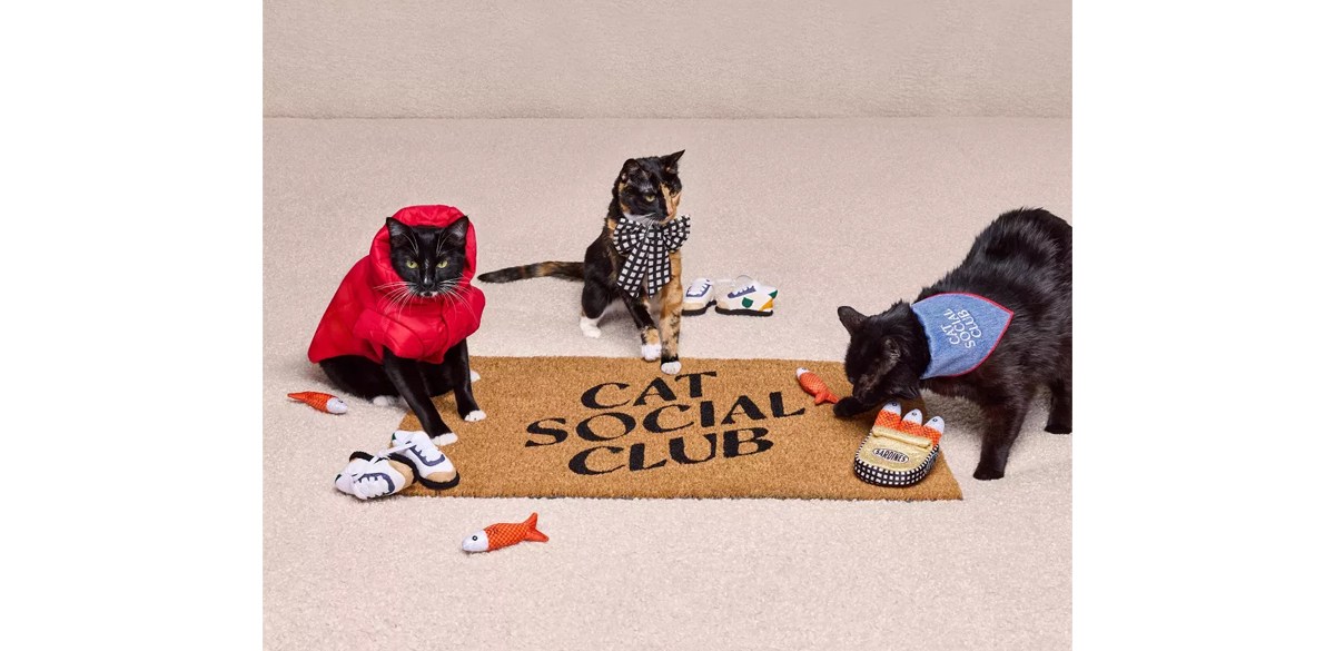 Cat Social Club Doormat - The Cuddle Collab with Zelda, Titus & Brave