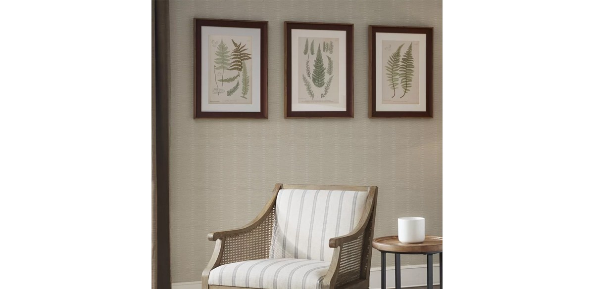 Martha Stewart Lady Fern Collection Botanical Illustration Single Mat Framed 3 Piece Wall Art Set