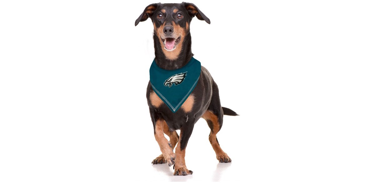 Pets First NFL Philadelphia Eagles Tie Around Dog & Cat Bandana