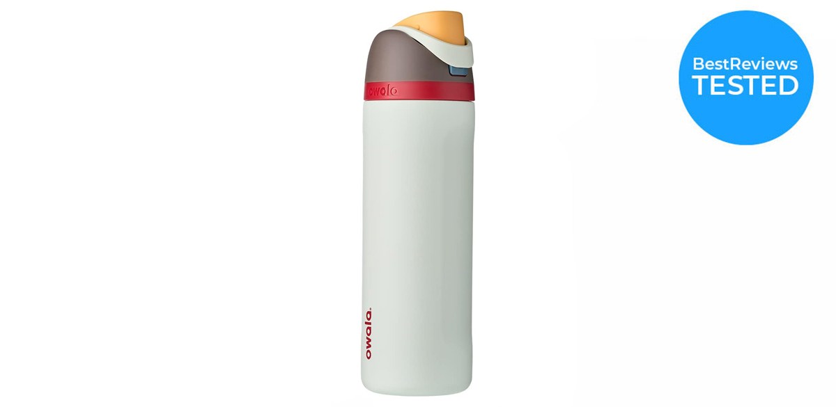 Owala FreeSip Insulated Stainless Steel Water Bottle