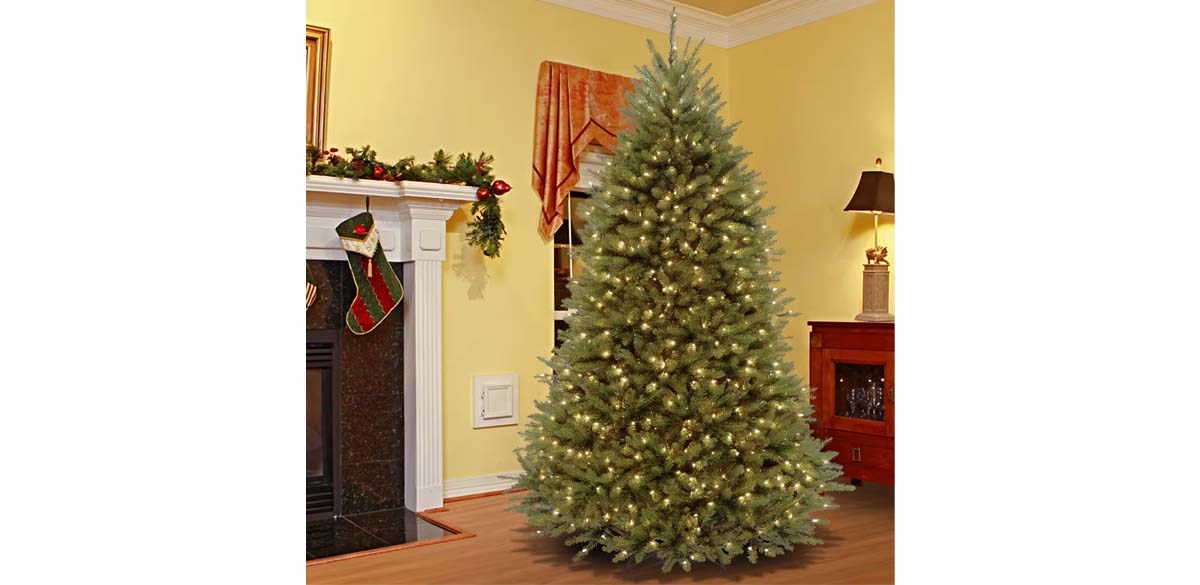 7ft. Pre-Lit Dunhill® Fir Full Artificial Christmas Tree, Clear Lights