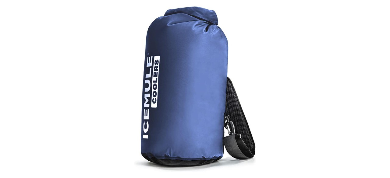 Icemule Classic Collapsible Backpack Cooler