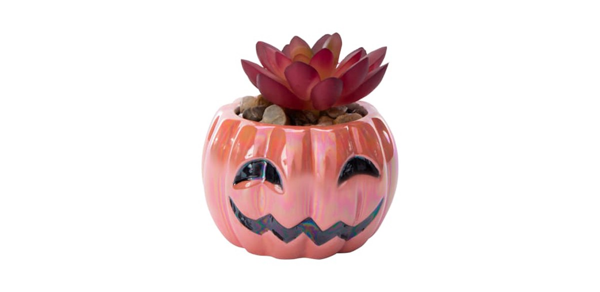 Pumpkin Faux Succulent