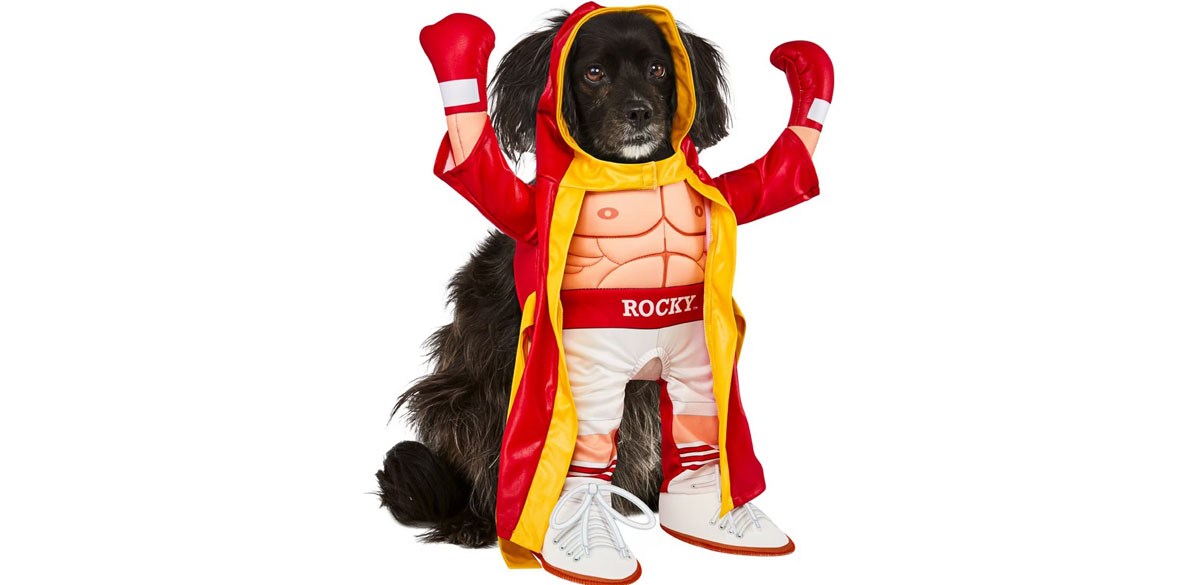 Rubie's Costume Company Rocky Balboa Dog & Cat Costume