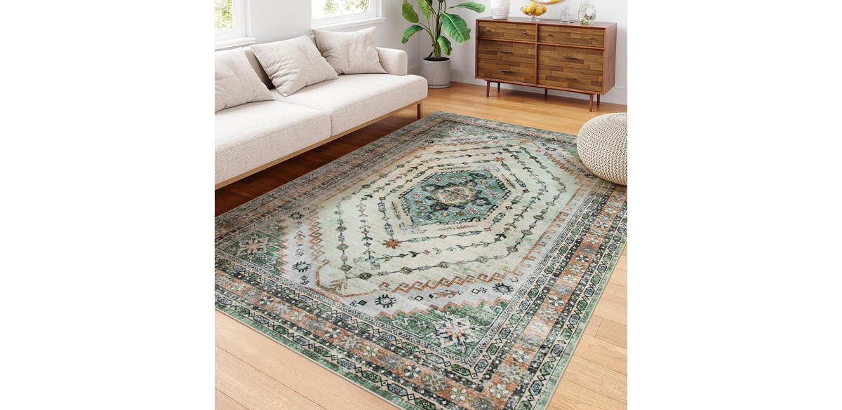 Seavish Machine Washable Area Rug